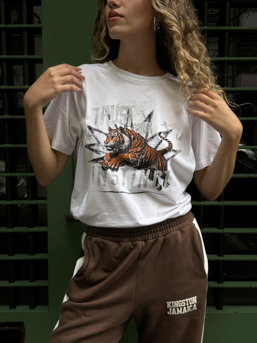 Remera 25582 - Imagen 3