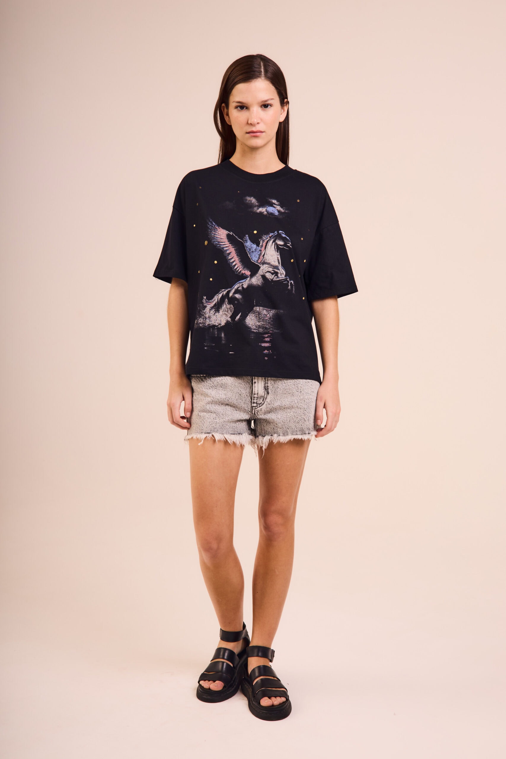 Remera 26134