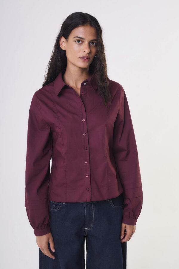 Camisa 2842