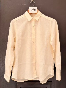 Camisa 2933