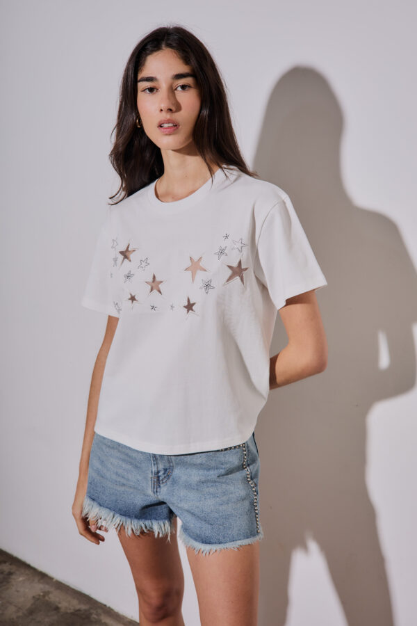 Remera 3052