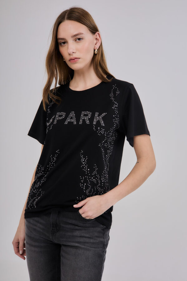 Remera 2910