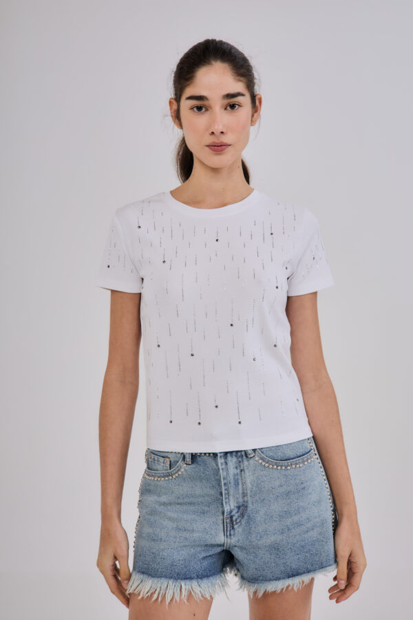Remera 2885