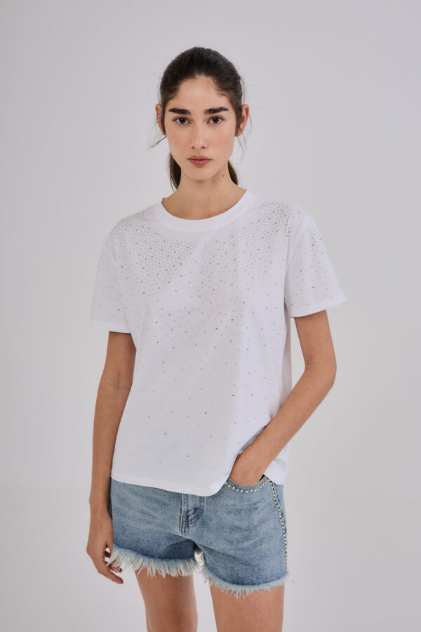 Remera 2886
