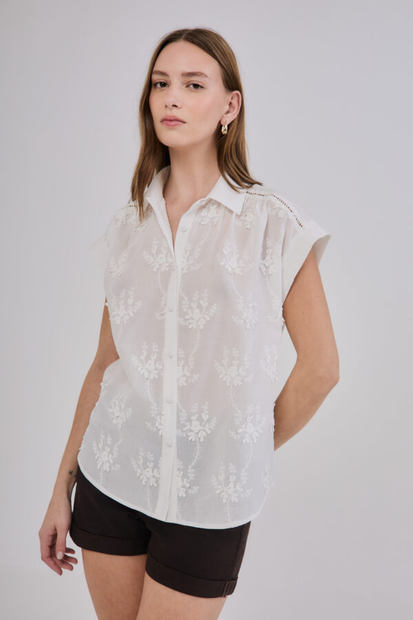 Camisa 2904