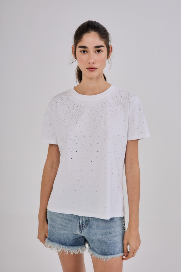 Remera 2886